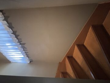 IMG_9831