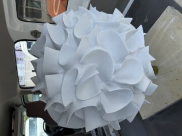 IMG_0556
